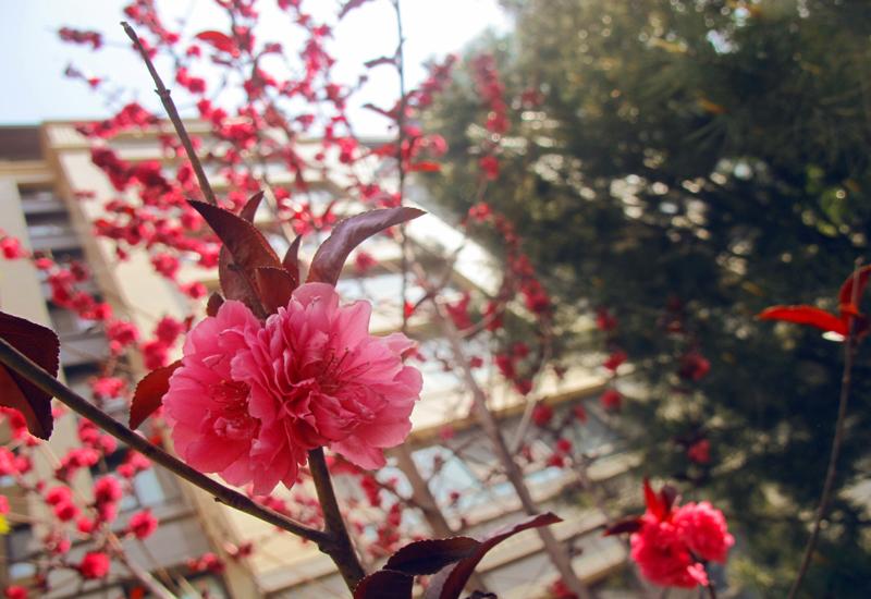 97国际·(中国区)集团官方网站