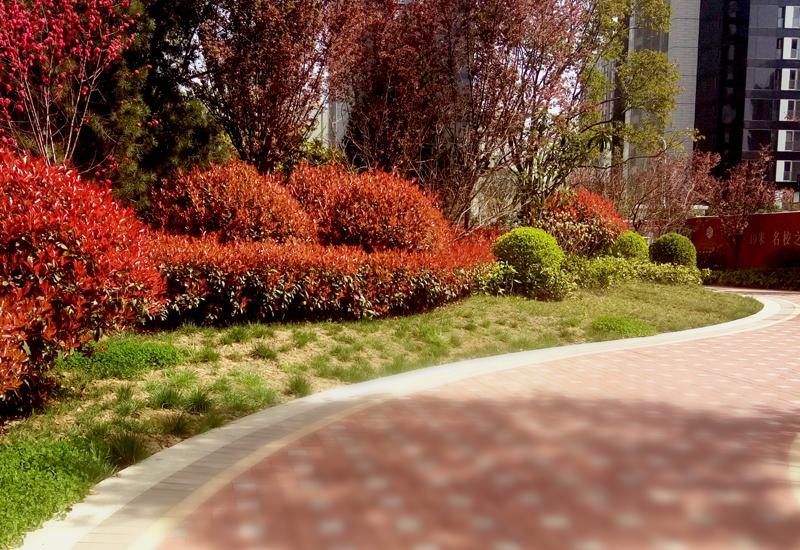 97国际·(中国区)集团官方网站