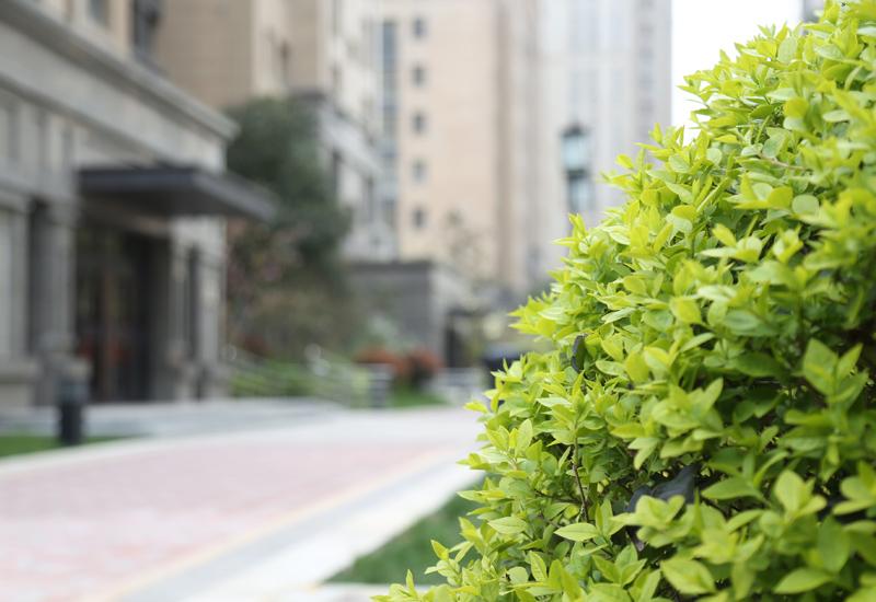 97国际·(中国区)集团官方网站